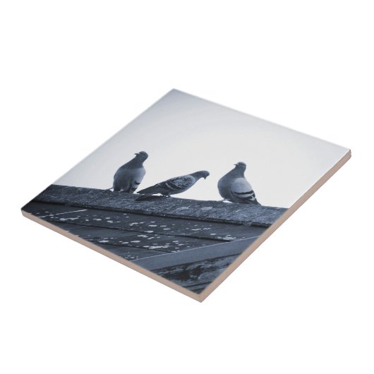 Drie duiven op een dak tegeltje (Zijkant)