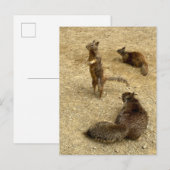 Drie Eekhoorns Uitnodiging Briefkaart (Voorkant / Achterkant)