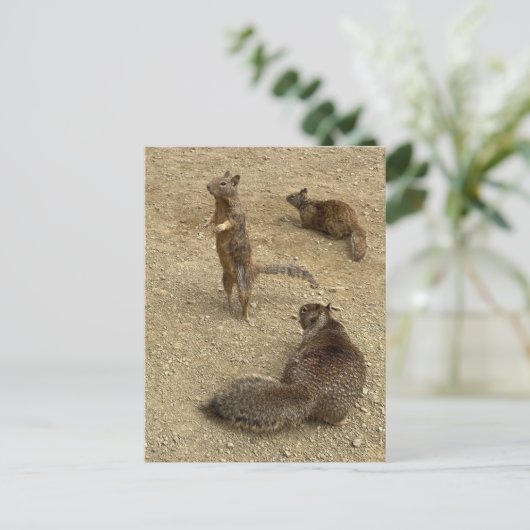 Drie Eekhoorns Uitnodiging Briefkaart (Staand voorkant)