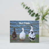 Drie eenden in de rij briefkaart (Staand voorkant)