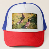 Drie eenden trucker pet (Voorkant)