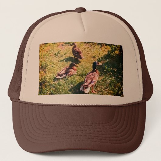 Drie eenden trucker pet (Voorkant)