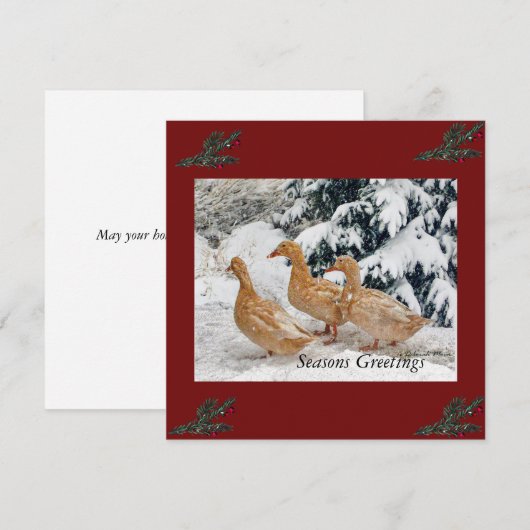 Drie eendenparade in sneeuwvlakke vakantiekaarten feestdagenkaart (Voorkant / Achterkant)