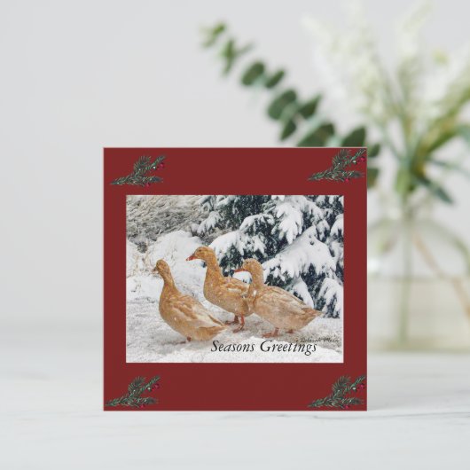 Drie eendenparade in sneeuwvlakke vakantiekaarten feestdagenkaart (Staand voorkant)