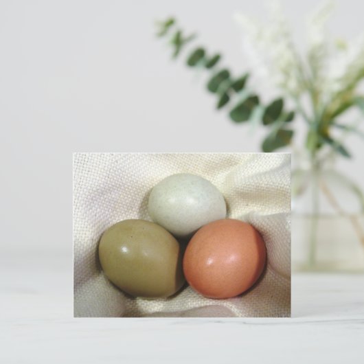 Drie eieren... briefkaart (Staand voorkant)