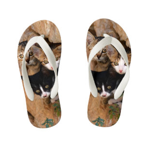 Drie eigenaardige kat Kittens worden met een grapp Kinder Teenslippers