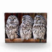 Drie Eigenaars Fotoblokken (Voorkant)