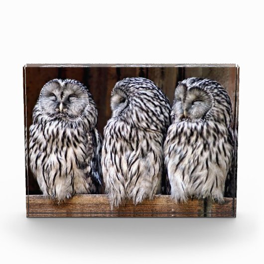 Drie Eigenaars Fotoblokken (Voorkant)