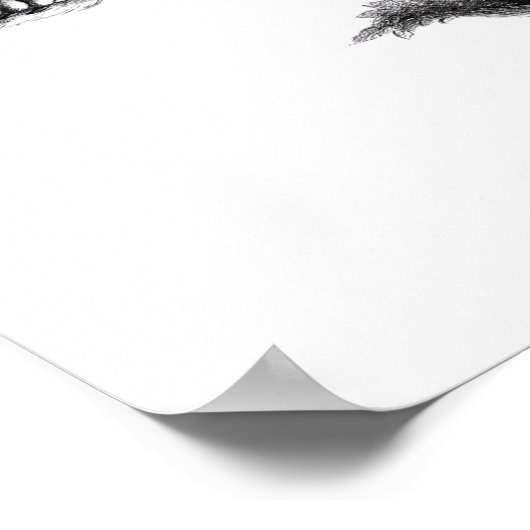 Drie Eigenaars - Vrijheid en Vun Poster (Hoek)