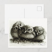 Drie Eigenaars - Young en Cute Briefkaart (Voorkant / Achterkant)