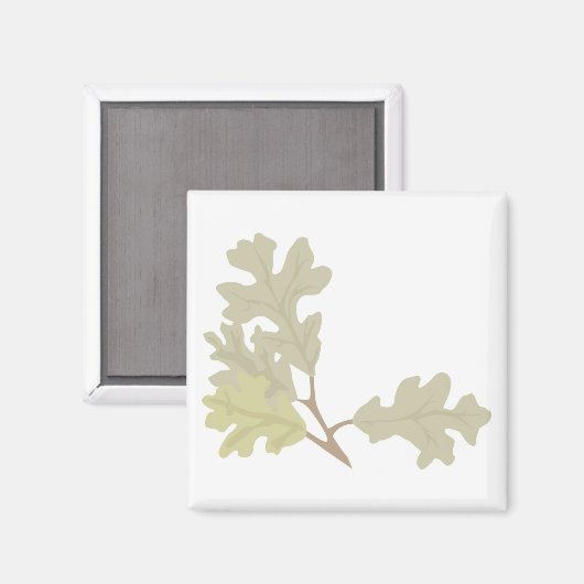 Drie eikenbladeren magneet (Voorkant / Achterkant)