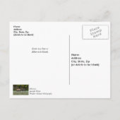 Drie elanden stieren vechten dank je ansichtkaart briefkaart (Achterkant)