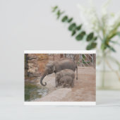Drie Elephants Briefkaart (Staand voorkant)