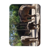Drie Elephants Magneet (Verticaal)