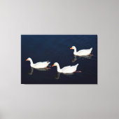 Drie Emden Geese Canvas Afdruk (Voorkant)