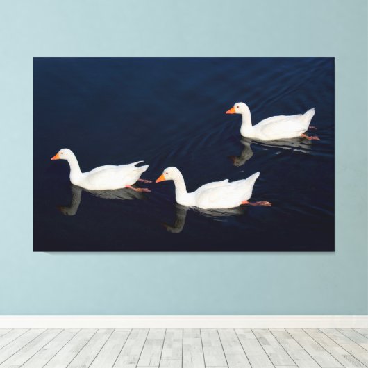 Drie Emden Geese Canvas Afdruk (Insitu (Houten vloer))