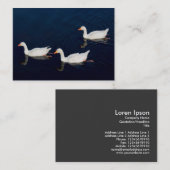 Drie Emden Geese Visitekaartje (Voorkant / Achterkant)