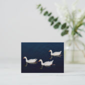 Drie Emden Geese Visitekaartje (Staand voorkant)