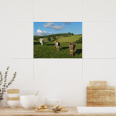 Drie ezels in een veld foto poster (Keuken)