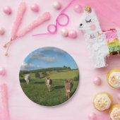 Drie ezels in een veld papieren bordje (Feest)