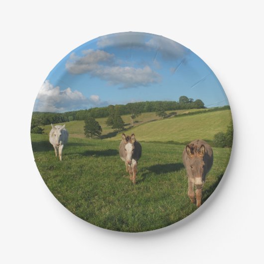 Drie ezels in een veld papieren bordje (Voorkant)