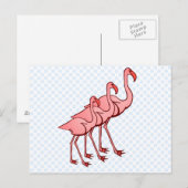 Drie Flamingo's Briefkaart (Voorkant / Achterkant)