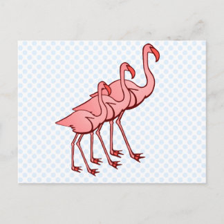 Drie Flamingo's Briefkaart