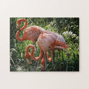 Drie Flamingos Puzzle Legpuzzel