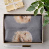 Drie Fluffy Katten Vintage Kattenkunst Decoupage Tissuepapier (Geschenk)