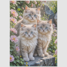 Drie Fluffy Kittens met in roze Mums Tissuepapier