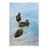 Drie foto afdruk (Voorkant)