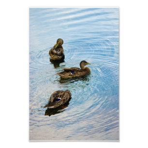 Drie foto afdruk
