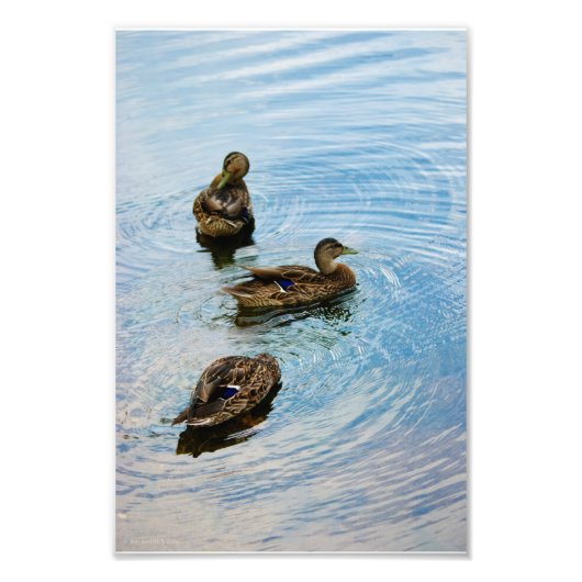 Drie foto afdruk (Voorkant)