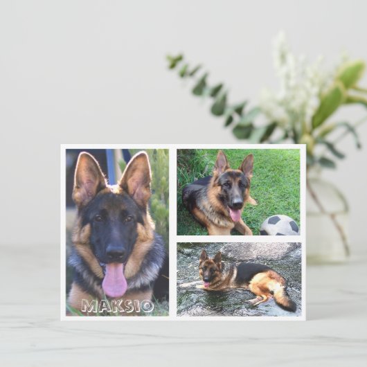Drie foto- en naamkaart bedankkaart (Staand voorkant)