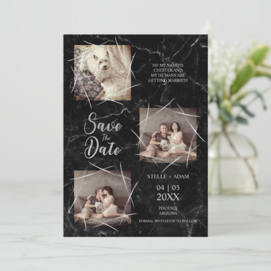 Drie foto's Hond Huwelijk Betrokkenheid Nepmarmer  (Staand voorkant)