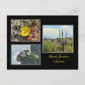 drie foto's van het briefkaart Apache Junction Ari (Voorkant)