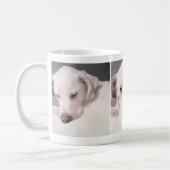Drie foto's van  witte hond koffiemok (Links)