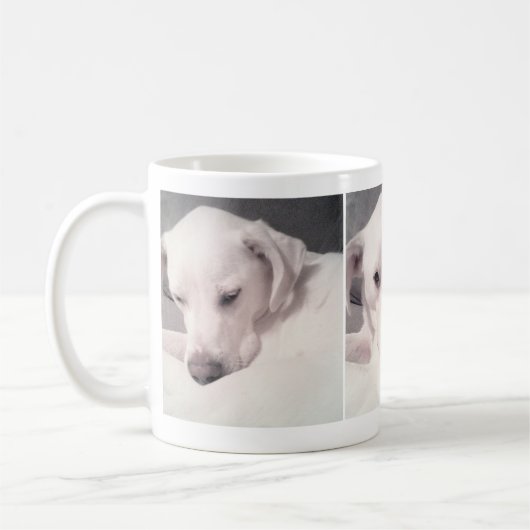 Drie foto's van  witte hond koffiemok (Links)