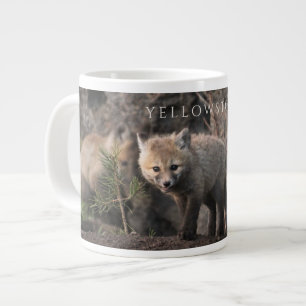 Drie Fox Cubs, Yellowstone National Park, Wyoming Grote Koffiekop