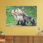 Drie Fox Kits Canvas Afdruk (Insitu (Woonkamer))