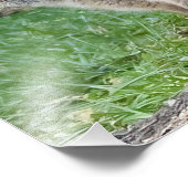 Drie Fox Kits Foto Afdruk (Hoek)