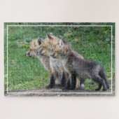 Drie Fox Kits Legpuzzel (Horizontaal)