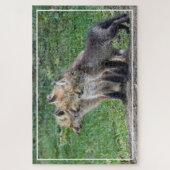 Drie Fox Kits Legpuzzel (Verticaal)
