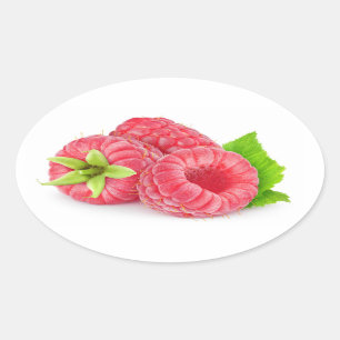 Drie frambozen ovale sticker