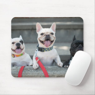 Drie Franse Bulldogs Muismat