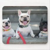 Drie Franse Bulldogs Muismat (Voorkant)