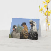 Drie funky Poolse kippen - Funny Birds Kaart (Gele Bloem)