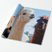 Drie Funny Alpacas Cadeaupapier (Uitgerold)