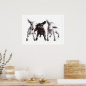 Drie Funny Cheeky Sheep Poster (Keuken)