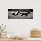 Drie galopingpaarden poster (Keuken)